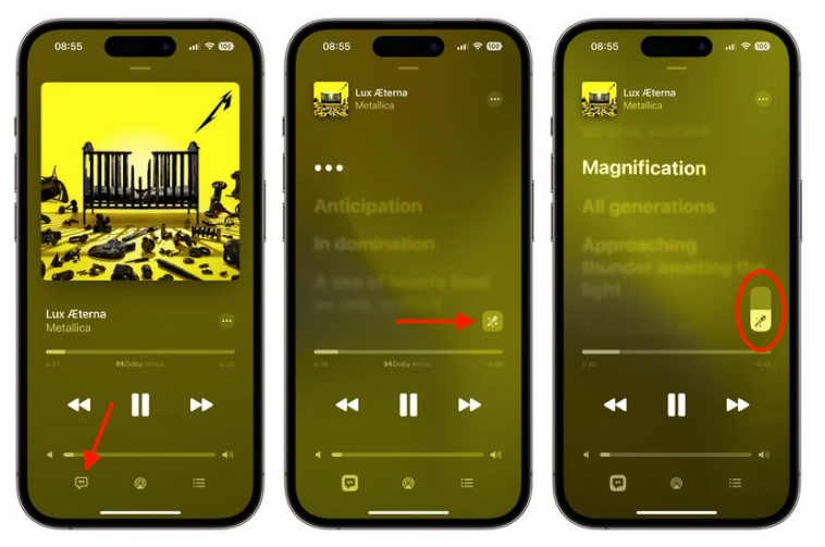 寻乌苹果服务网点分享iOS 16.2 全新功能：在 iPhone 或 iPad 上使用 Apple Music 唱歌 